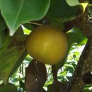 인선농장 이미지