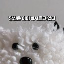 그란데로자 이미지