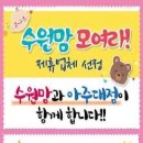 다비치안경체인아주대 네이버블로그
