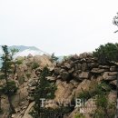 파도대게 이미지