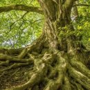 제2 지혜농장 이미지