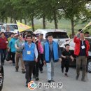 당진3동 이팝나무 이미지