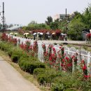 서천종합관광안내소 이미지