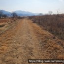 매리생태공원(야구장공원) 이미지