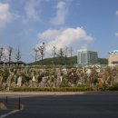 정선군 도사곡샘터 네이버블로그