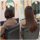 더붙임머리