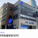 하루동물병원 | 아직 난 팔팔하다 7살 강아지 건강검진 받은 내돈내산후기(전주 평화동 하루동물병원)