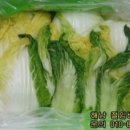 수 농장 이미지