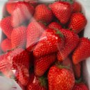 대한농장 | 6시내고향 딸기 청주 농장 알아보기