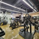 엑스퍼티짐 이미지