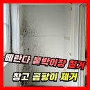 호동어린이집 | 베란다 창고 붙박이장 철거 곰팡이제거 업체
