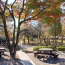 경천대 일주로 이미지