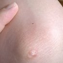 화순 미 의원 이미지