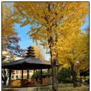 나눔 | 대구 청소년재능기부 봉사단 김장 나눔봉사 후기