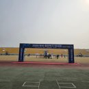 승리농장 | 2026 논산딸기축제 방문 후기 주차 딸기떡 딸기호떡 성심당