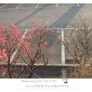 일광역 광장 이미지