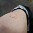 생생병원 | [가다실 9가 후기] 생생병원 3차 접종 완료! 💉 가격, 부작용, 접종 꿀팁 총정리 ✨