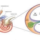 원창한의원 이미지