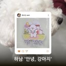 안녕강아지야 | 안녕,강아지. 강아지 카페 다녀온 후기