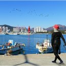 학리 Daum카페