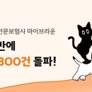 마이브라운
