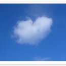 하늘그린(주) 이미지