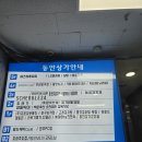 악쓰는 하마 | 범계역 코인노래방 악쓰는하마