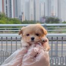 몽글몽글# 이미지