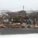 혜옥이네 이미지