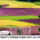 산과들과바다와함께 이미지