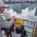 갯배스테이 이미지