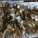 명주농장 이미지