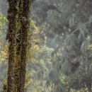 서부한의원 이미지