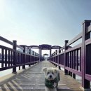 천사대교 관광안내소 이미지