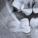 줌구강악안면외과치과의원 이미지