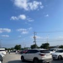 용인 가볼만한곳 “에르베플라워” feat. 남사화훼단지 야르한 2000평 규모 추천