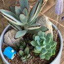 종덕초등학교병설유치원 이미지