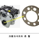 에프씨에이 이미지
