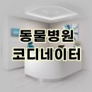 분당맥스웰의원 이미지