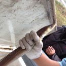 장원아나고 이미지