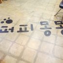 퍼피몽몽 이미지