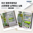 더블유엠주