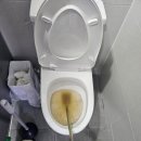 영덕식당 이미지