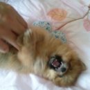 아지네농장 이미지