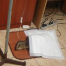 김대진동물병원 이미지