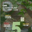데이푸릇