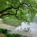 밀양아리랑시장 이미지