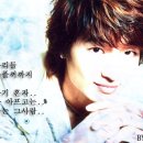 호이 Daum카페