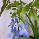 동탄기흥로353번길 | 드디어 나도 갓성비 폰 득템각 잡았다! 솔직후기 때려박음