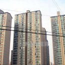 세화공인중개사사무소 이미지